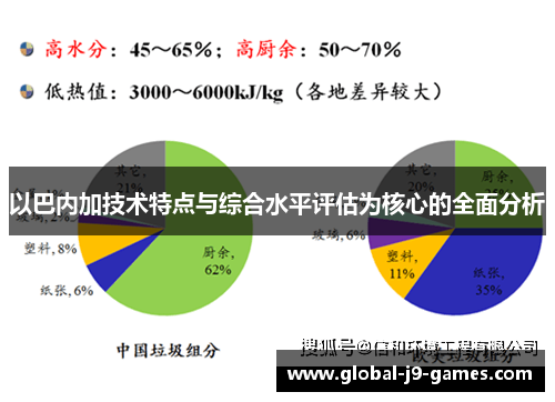 以巴内加技术特点与综合水平评估为核心的全面分析