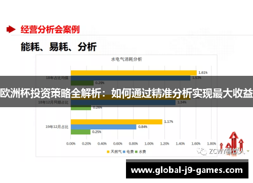 欧洲杯投资策略全解析:如何通过精准分析实现最大收益 欧洲杯投资策略全解析:如何通过精准分析实现最大收益