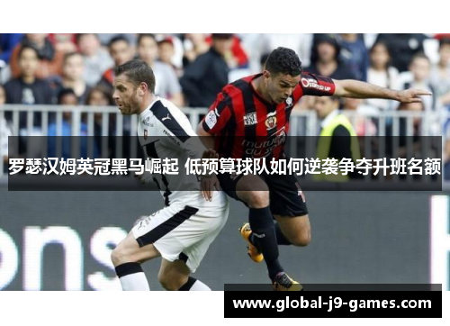 罗瑟汉姆英冠黑马崛起 低预算球队如何逆袭争夺升班名额 罗瑟汉姆英冠黑马崛起 低预算球队如何逆袭争夺升班名额